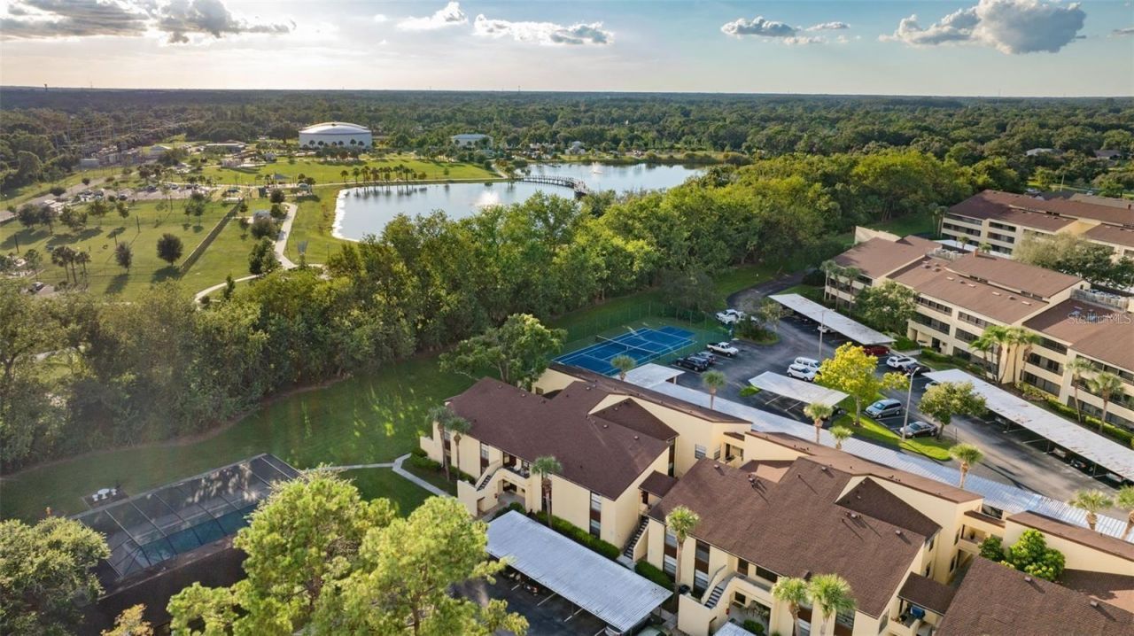 13608 S Village Drive , Unit 7204, Tampa, FL 33618 Photo