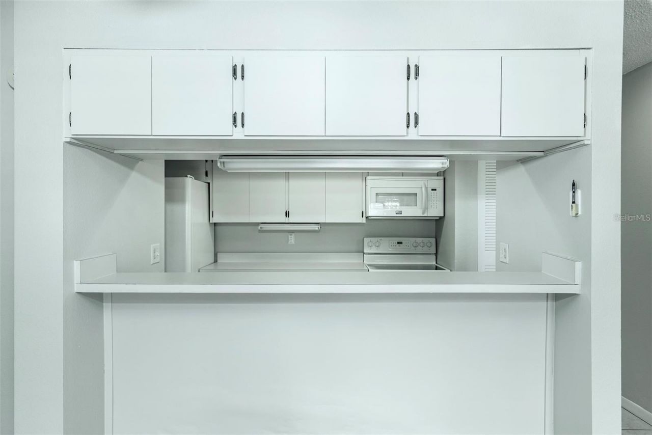 13608 S Village Drive , Unit 7204, Tampa, FL 33618 Photo