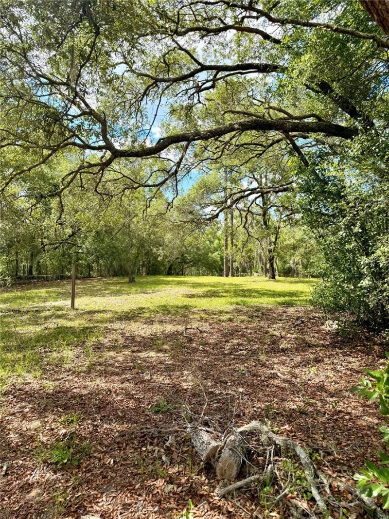 7561 SE 120th Court , Morriston, FL 32668 Photo
