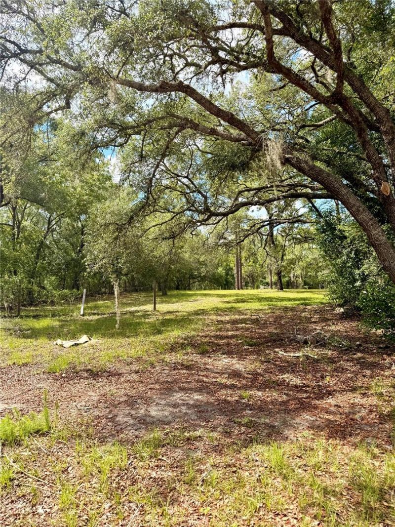 7561 SE 120th Court , Morriston, FL 32668 Photo