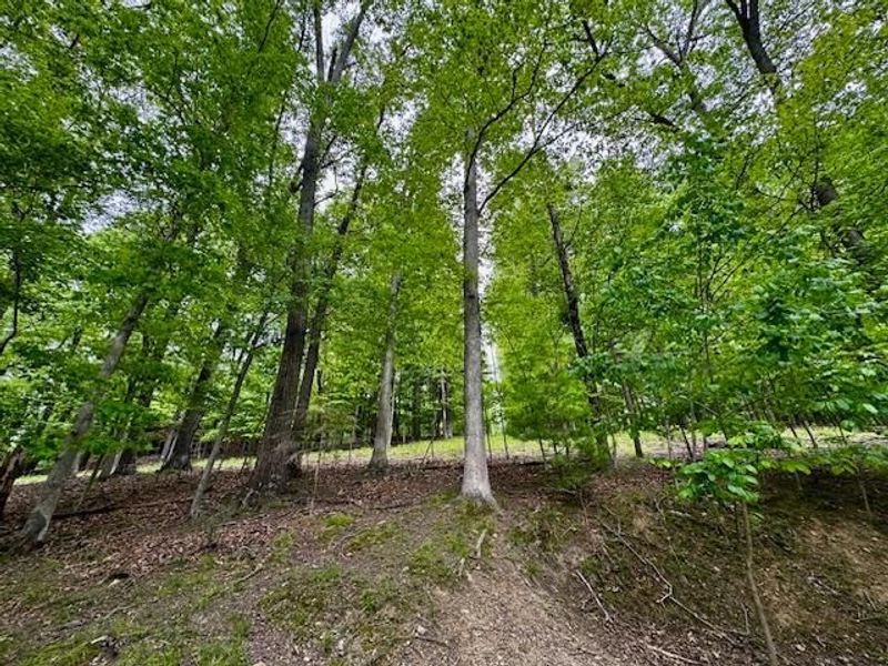 701 Natchez Lane, Sugar Grove, OH 43155 Photo 13