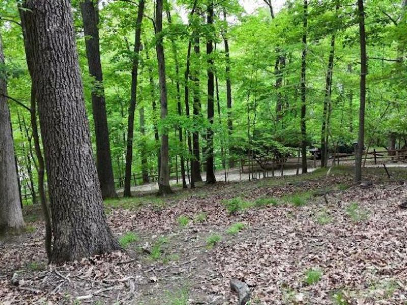701 Natchez Lane, Sugar Grove, OH 43155 Photo 8