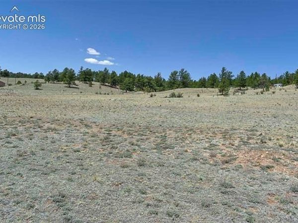 1999 Arapaho Trail, Hartsel, CO 80449