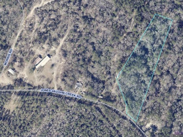 9754 Jones Vaughn Creek Rd, St Francisville, LA 70775