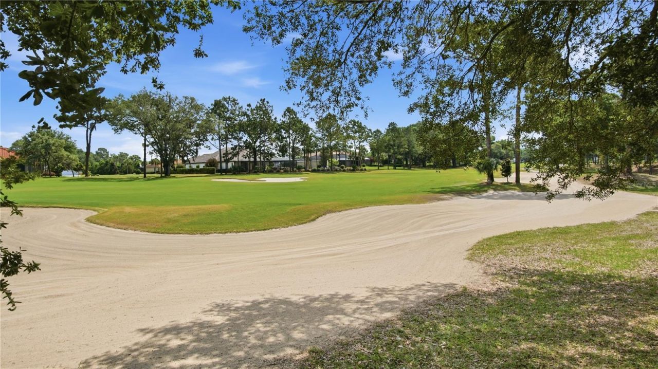 6609 SW 179th Avenue Road, Dunnellon, FL 34432 Photo