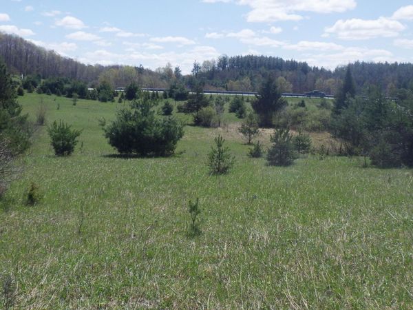 S 39 Road, Cadillac, MI 49601