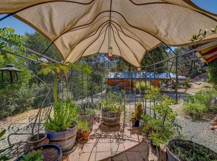 1244 Stallion Way, Angels Camp, CA 95222 Photo