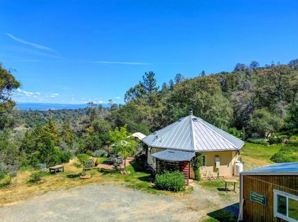 1244 Stallion Way, Angels Camp, CA 95222 Photo