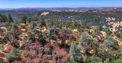 1244 Stallion Way, Angels Camp, CA 95222 Photo