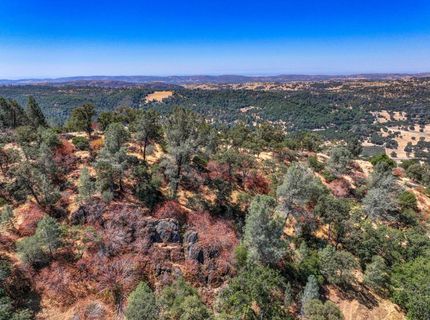 1244 Stallion Way, Angels Camp, CA 95222 Photo