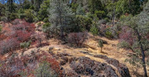 1244 Stallion Way, Angels Camp, CA 95222 Photo