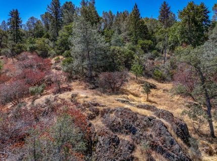 1244 Stallion Way, Angels Camp, CA 95222 Photo
