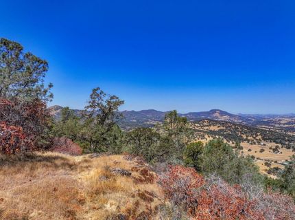 1244 Stallion Way, Angels Camp, CA 95222 Photo