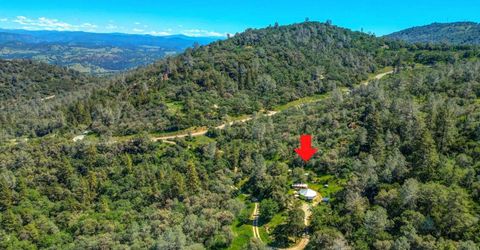 1244 Stallion Way, Angels Camp, CA 95222 Photo