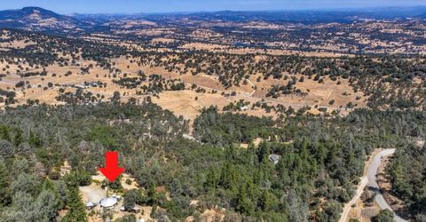 1244 Stallion Way, Angels Camp, CA 95222 Photo
