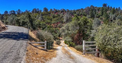 1244 Stallion Way, Angels Camp, CA 95222 Photo