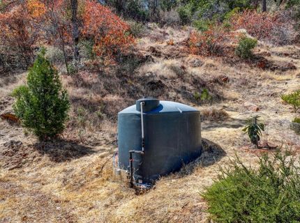 1244 Stallion Way, Angels Camp, CA 95222 Photo
