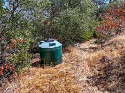 1244 Stallion Way, Angels Camp, CA 95222 Photo