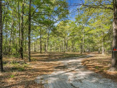 202 Belmont Drive, Walterboro, SC 29488