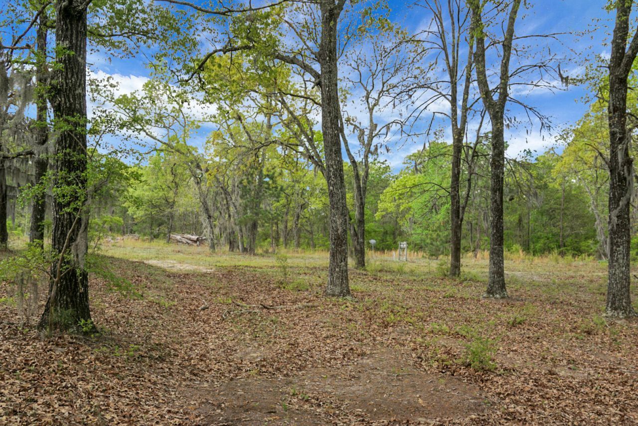 202 Belmont Drive Photo 6