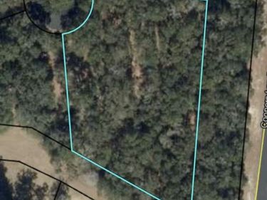 0 Blakberry Lane NE, Townsend, GA 31331