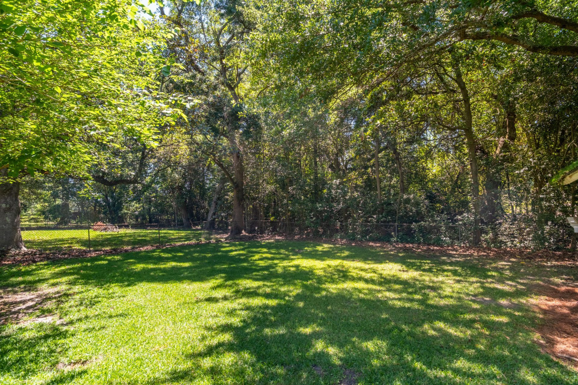 1787 Markham Road Photo 22