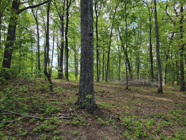 000 Ski View Drive, Dunlap, TN 37327