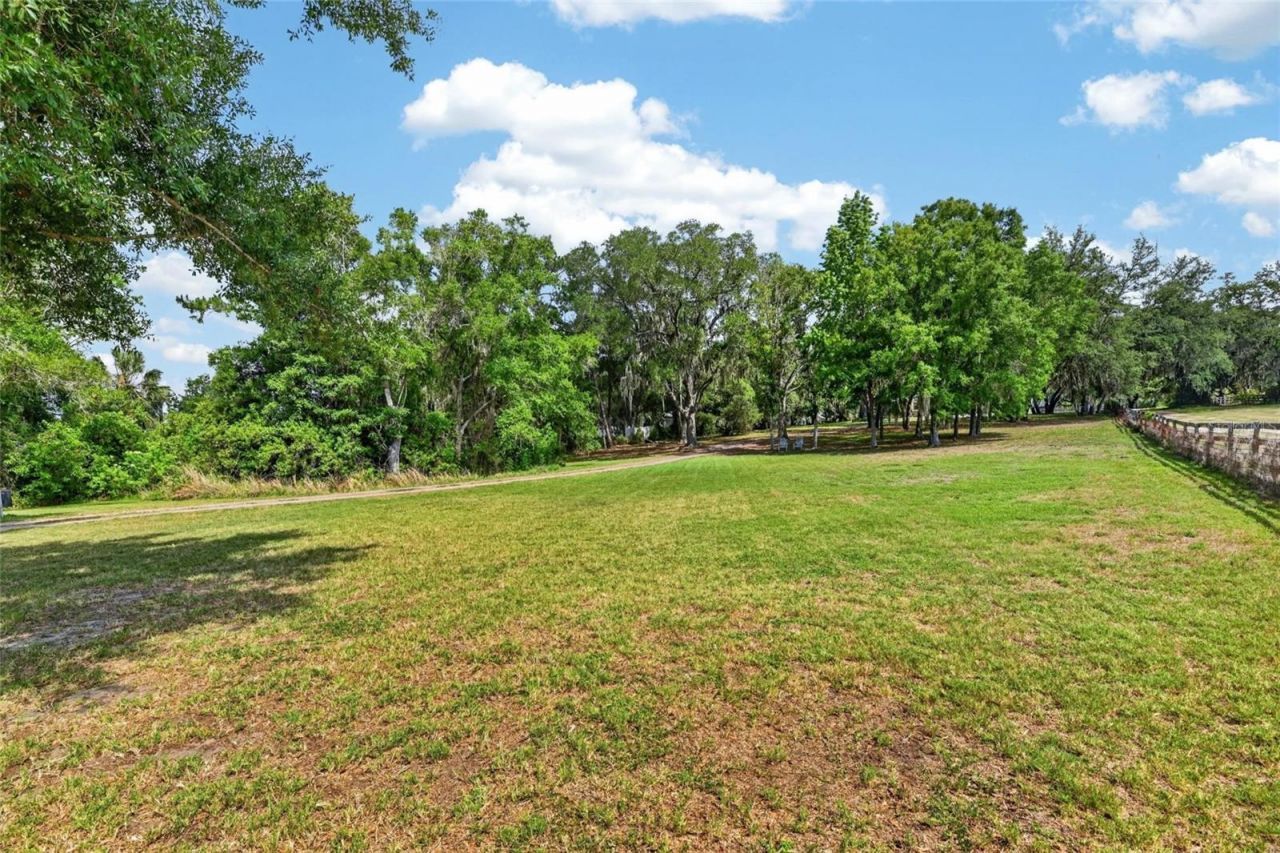 13008 Shadow Run Boulevard, Riverview, FL 33569 Photo