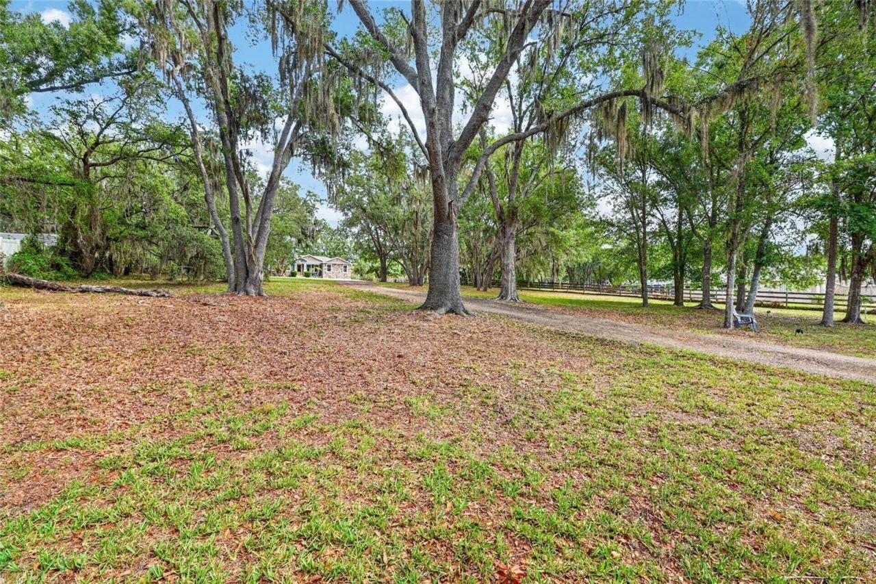 13008 Shadow Run Boulevard, Riverview, FL 33569 Photo
