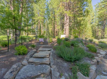 166 Black Bear Trail, Clio, CA 96106 Photo
