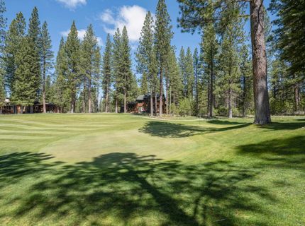 166 Black Bear Trail, Clio, CA 96106 Photo
