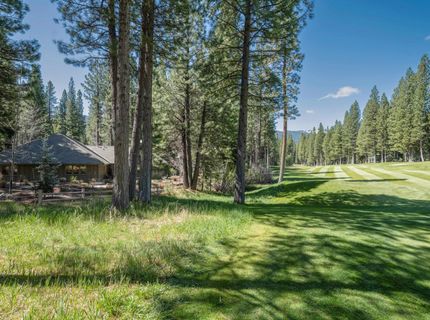 166 Black Bear Trail, Clio, CA 96106 Photo