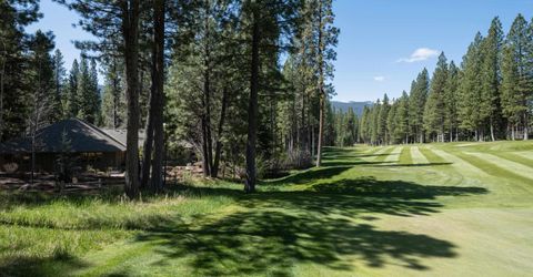 166 Black Bear Trail, Clio, CA 96106 Photo