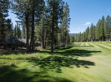 166 Black Bear Trail, Clio, CA 96106 Photo