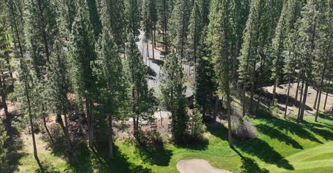 166 Black Bear Trail, Clio, CA 96106 Photo
