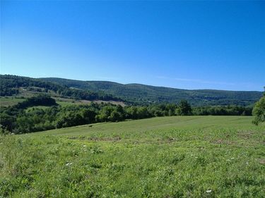 Ploss Road, Richmondville, NY 12149