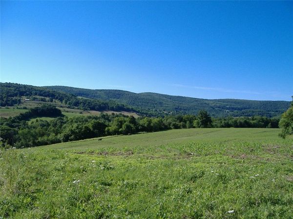 Ploss Road, Richmondville, NY 12149