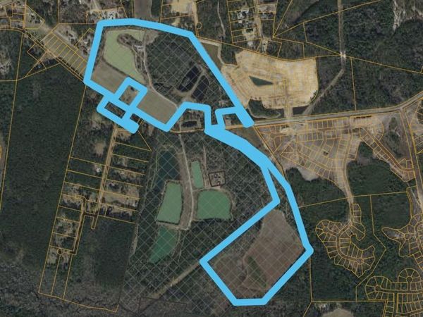 101 Acres Old Highway 90, Conway, SC 29526