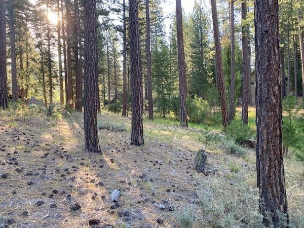 235 Black Bear Trail, Unit VI, Clio, CA 96106