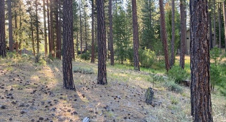 235 Black Bear Trail, Lot #VI, Clio, CA 96106 Photo