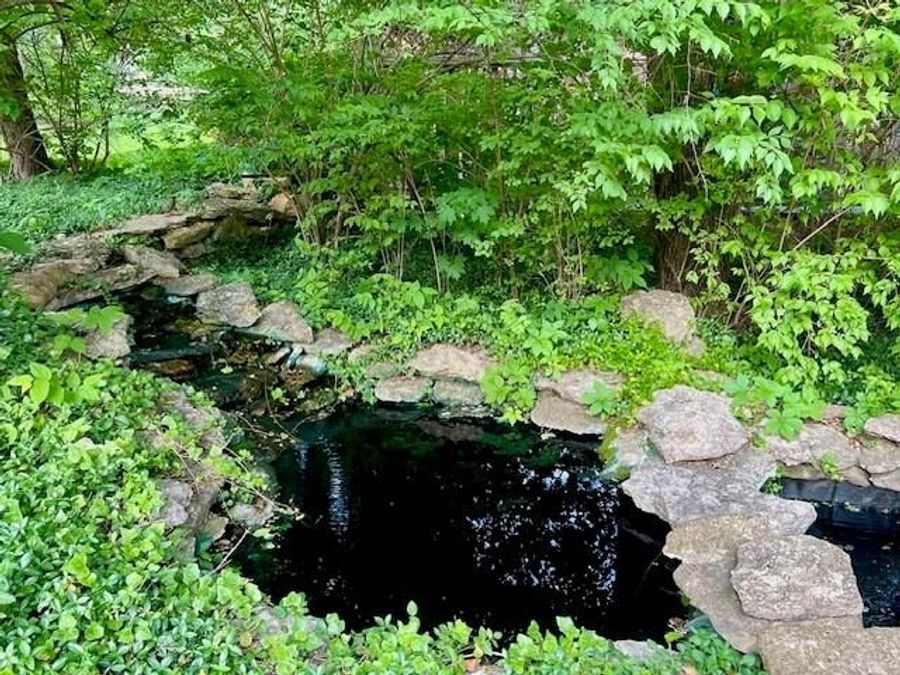 Property Image 57