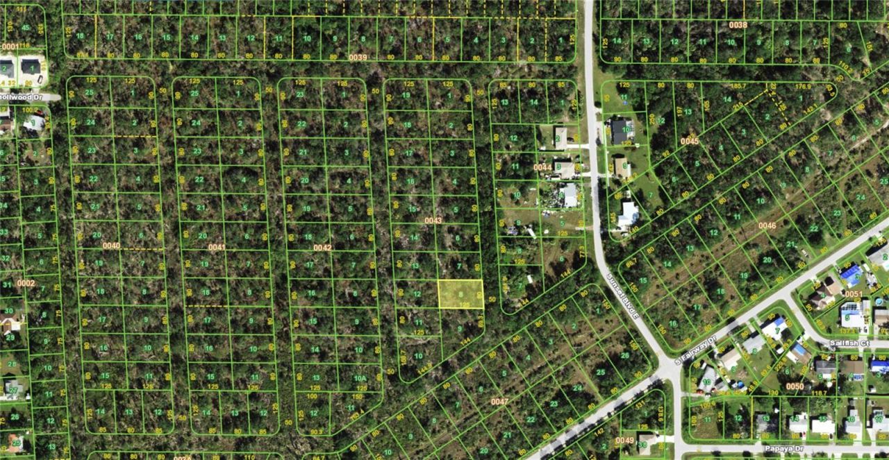 261 Sawfish Lane, Punta Gorda, FL 33982 Photo