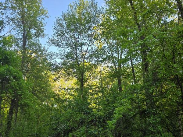 122 Archer Rd , Mahopac, NY 10541