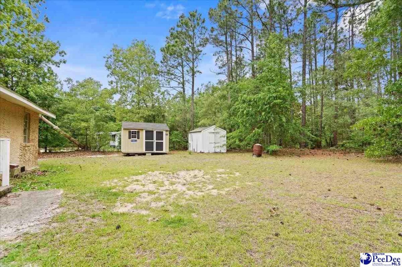 307 Hyland Lane Photo 10
