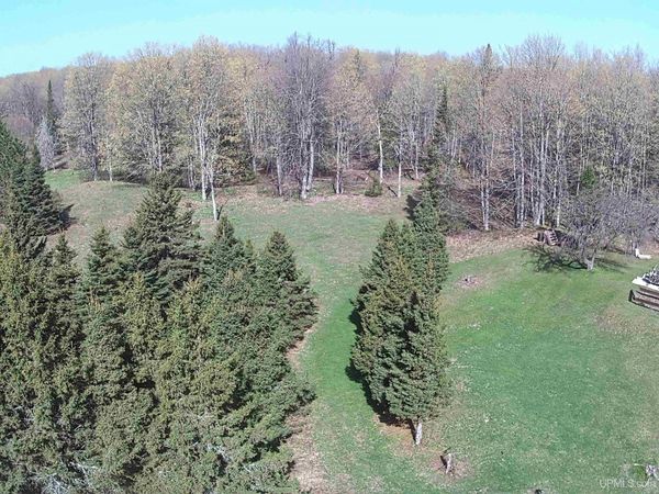 TBD County H26 Road, Maple Ridge Twp, MI 49880