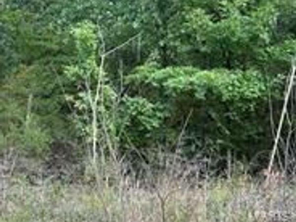 0 Lot #316 Villa Vista Drive , Owensville, MO 65066