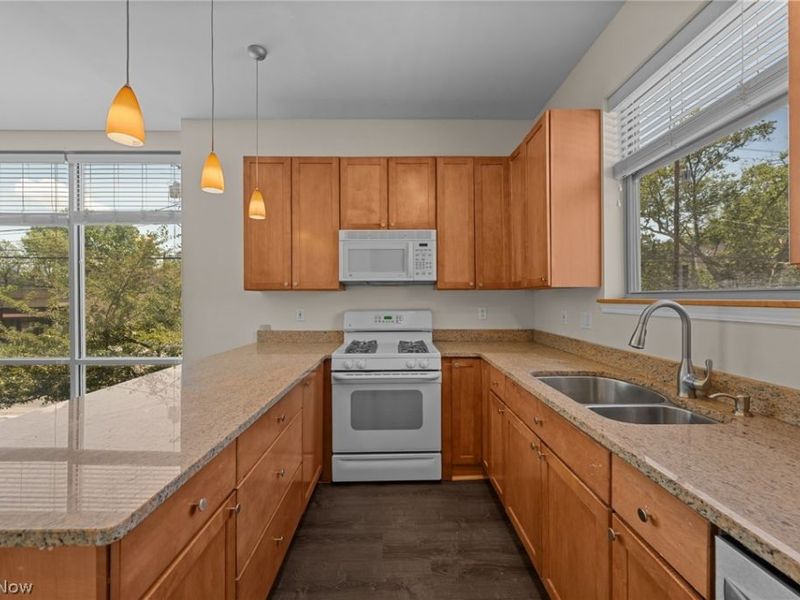 12581 Larchmere Boulevard, Cleveland, OH 44120 Photo 21