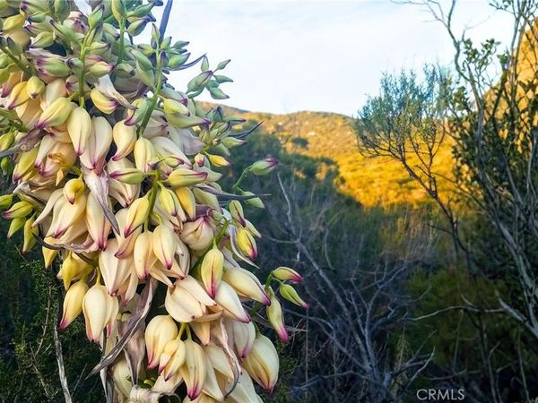 0 Cruces, Warner Springs, CA 92086