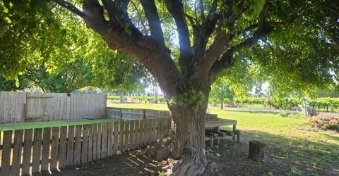 5206 E Jahant Rd, Acampo, CA 95632 Photo