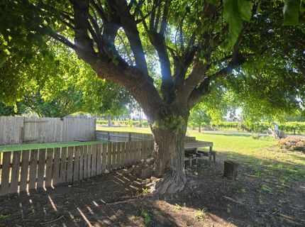 5206 E Jahant Rd, Acampo, CA 95632 Photo